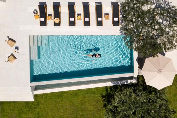 Villa Olive Tree