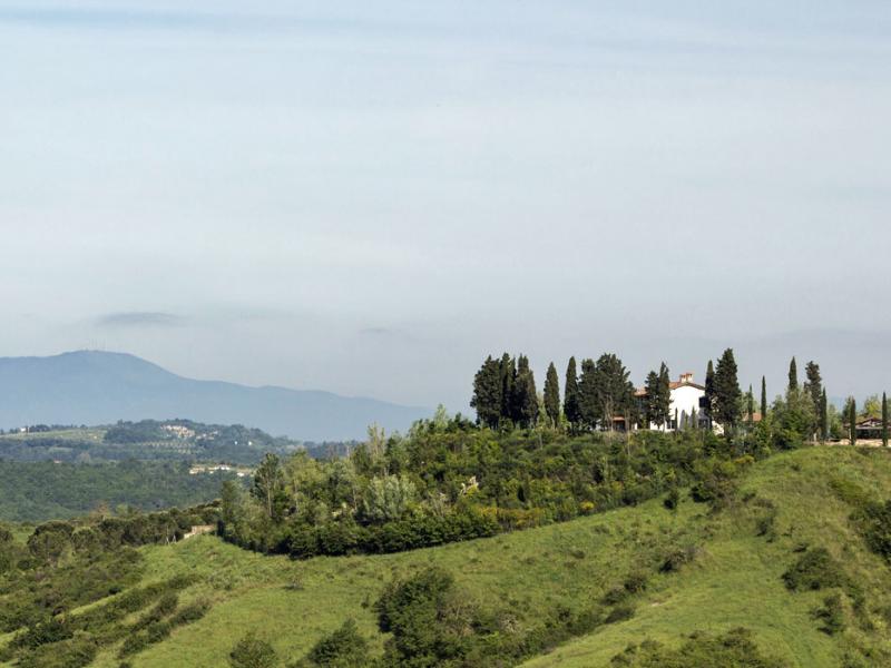 Villa Virginia - Fattoria Santo Stefano , Tuscany 