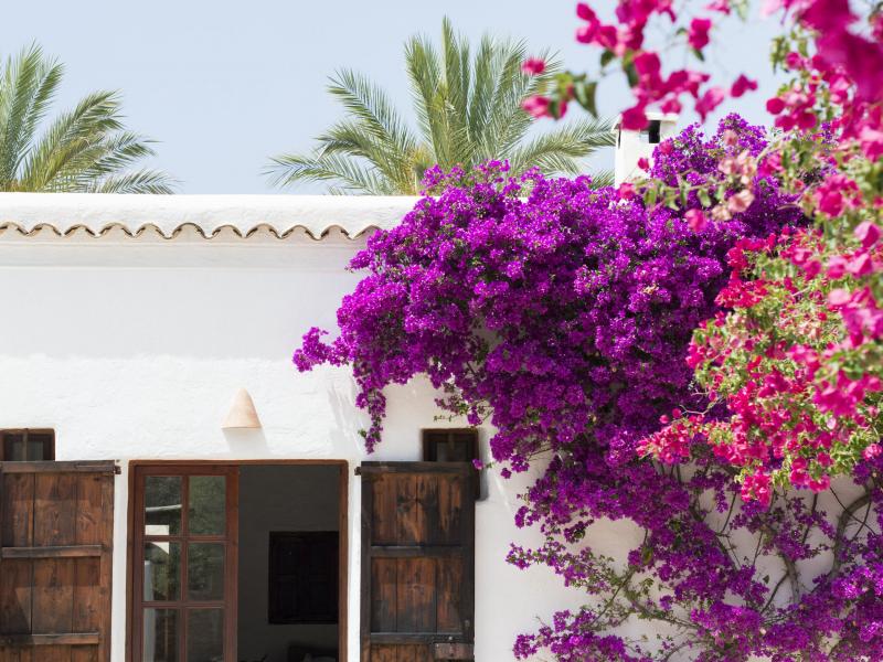 Villa Santy , North 