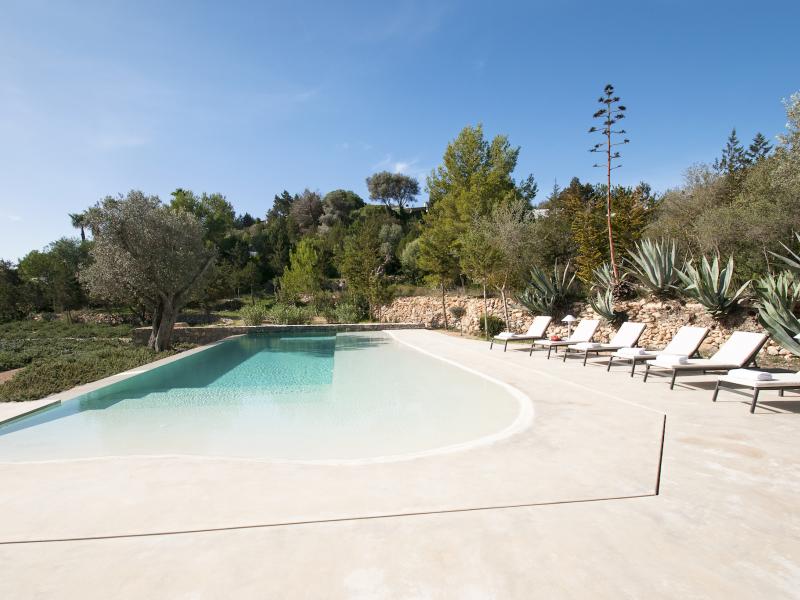Oasis , South 