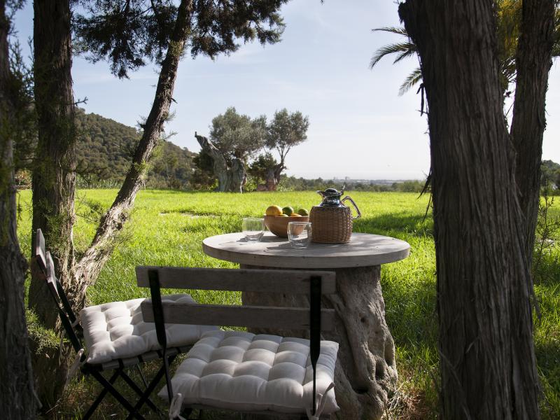 Oasis , South 