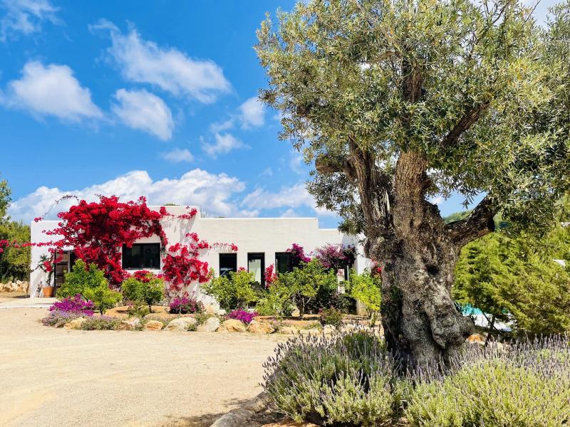 Villa Haisley , Cala Tarida , San Jose 