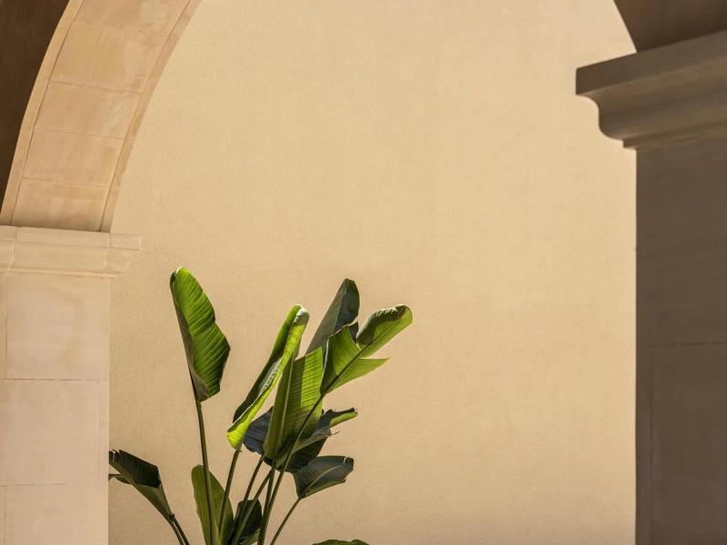 Villa Calvia , 