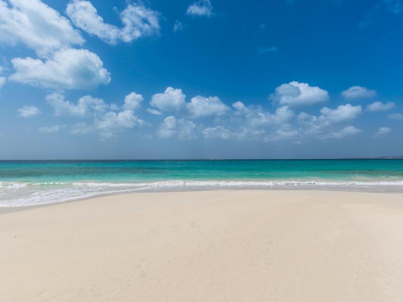 Shore , Long Bay 
