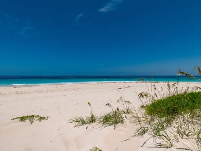 Bohemia - Eleuthera , Eleuthera 