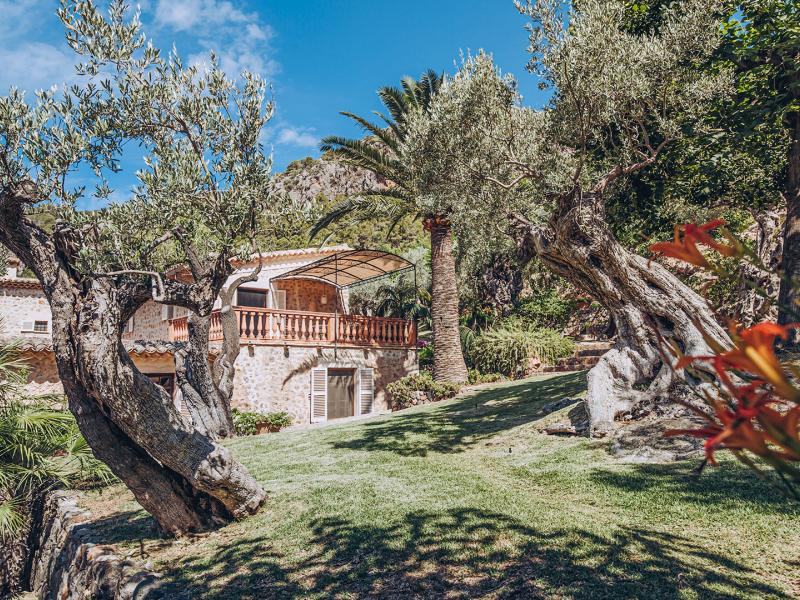 Son Salas , Soller 
