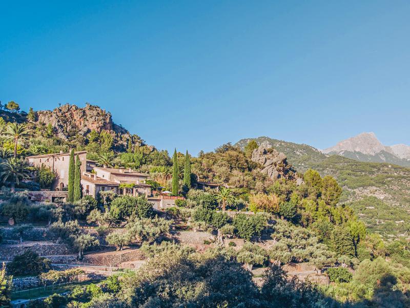 Son Salas , Soller 