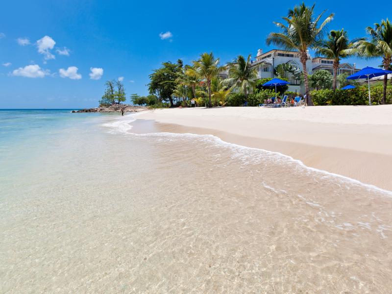Schooner Bay 203 - Lusca - Beachfront , Beachfront villas Barbados , Schooner Bay , Speightstown , St Peter , West Coast Barbados 